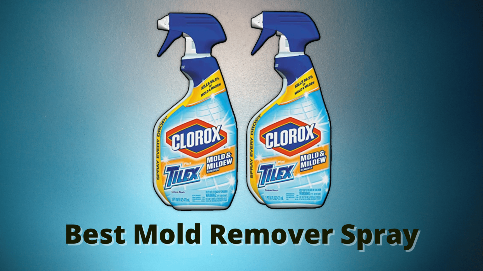Best Mold Removal Spray Picsboom