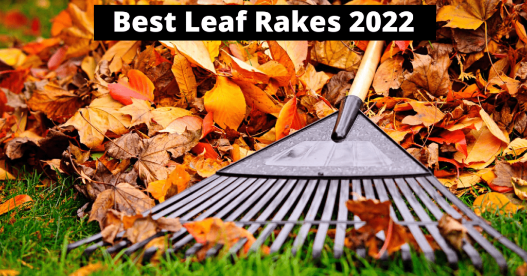 Best Leaf Rakes 2022 Picsboom