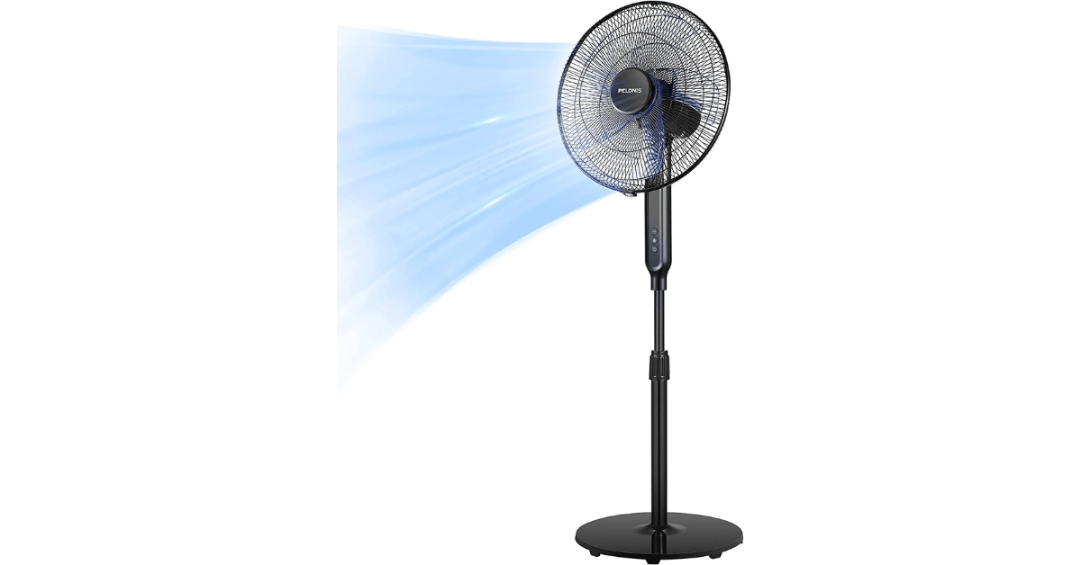Best Pedestal Fan 2022 Picsboom