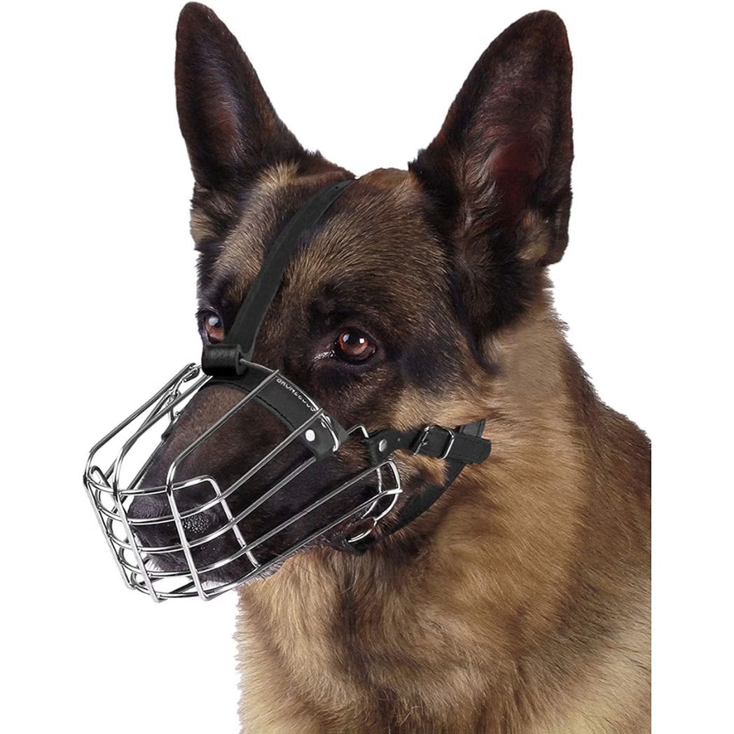 Best Dog Muzzle for Barking Picsboom